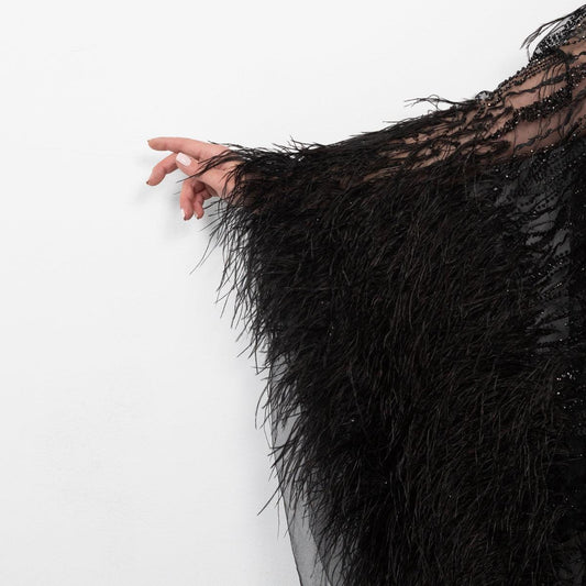 Dantela neagra cu cristale si pene strut