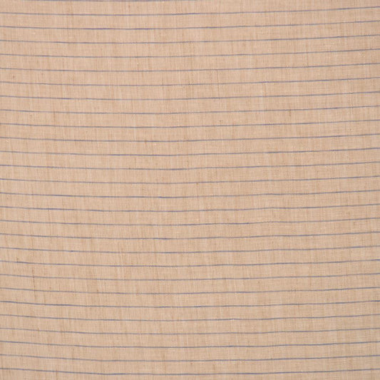 In cu dungi albastre