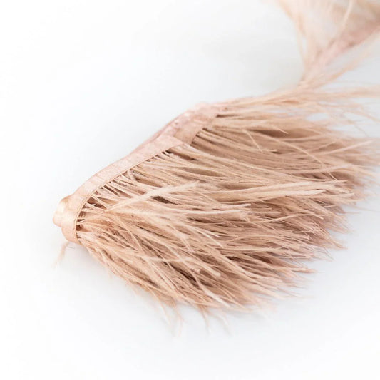 Pene strut - Roz Bonbon