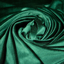 Catifea Elastica